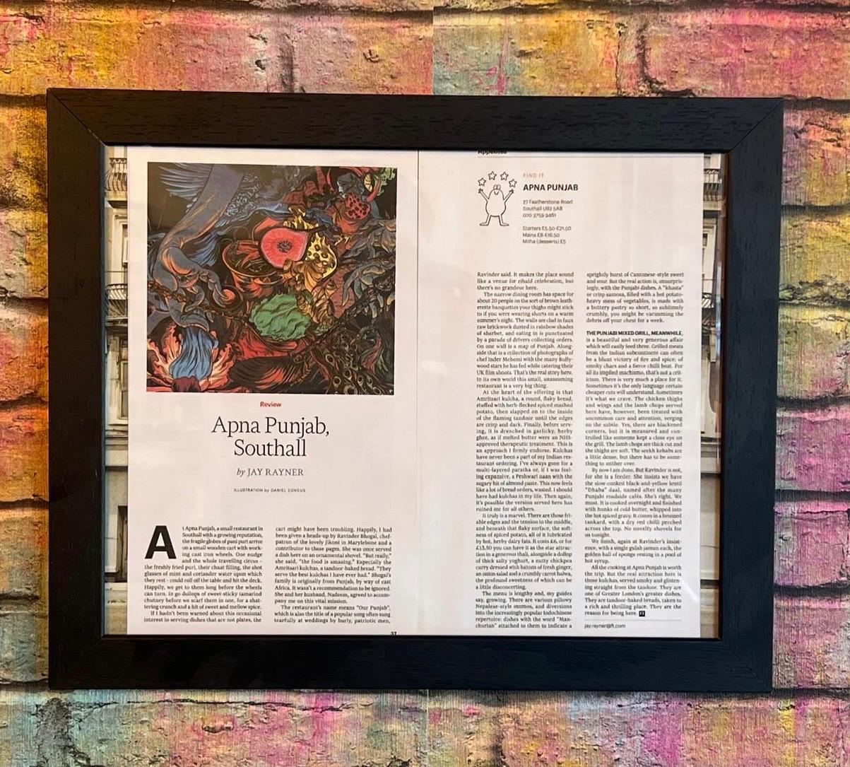 Financial Times Feature - Apna Punjab